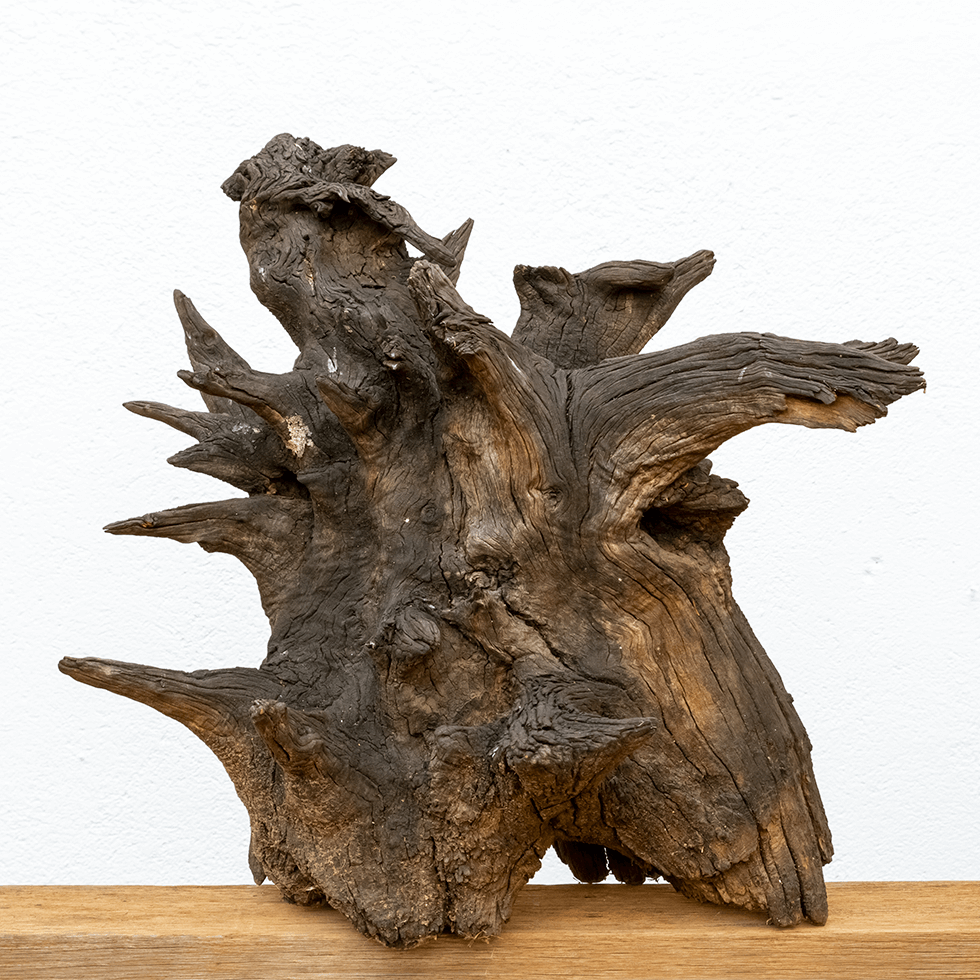 Escultura Castaño-negro. Raíz de castaño YOLPIQ, creaciones con maderas de Diseño Natural.
