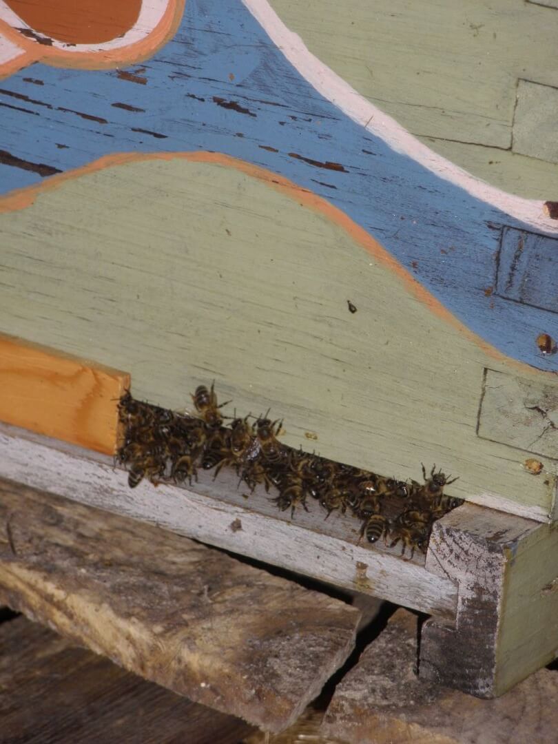 Blog-la cera de las abejas